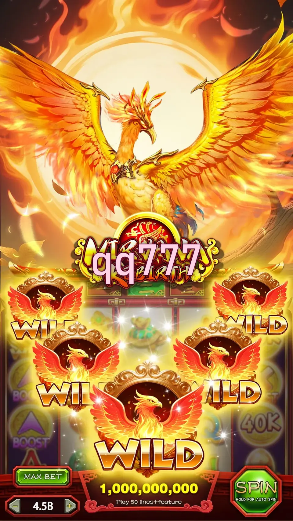 qq777 লগইন